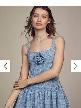 Anthropologie Blue Gingham Smocked Mini Dress with Rosette